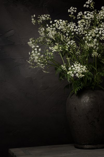 Stilleven met witte wilde bloemen door Mayra Pama