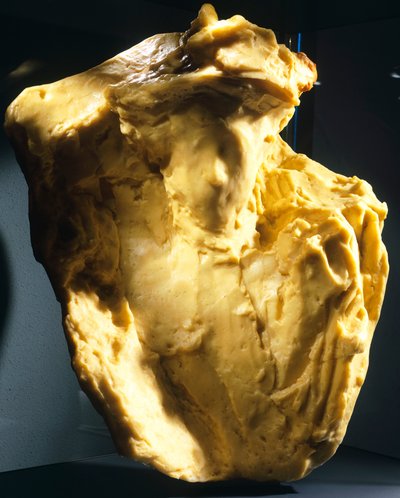 Boekmaker door Medardo Rosso