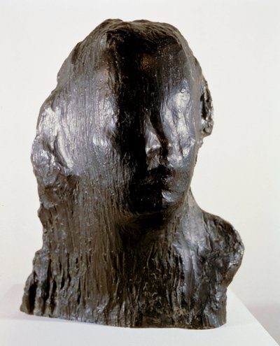 Ecco Puer (Portret van Alfred Mond op zesjarige leeftijd) door Medardo Rosso