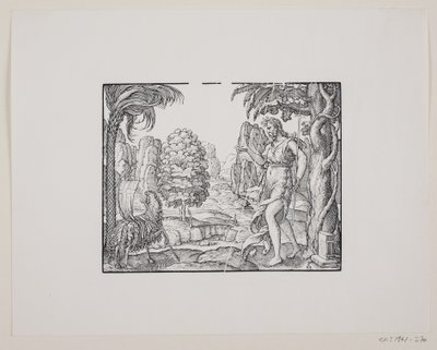 Johannes de Doper in de Woestijn door Melchior Lorck