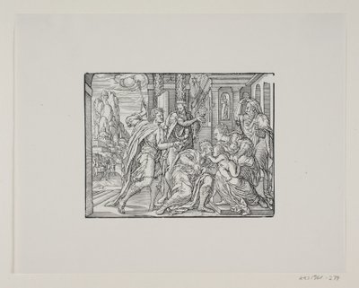 De aanbidding der wijzen door Melchior Lorck