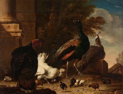 Een hen met pauwen en een kalkoen door Melchior d