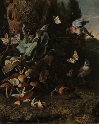 Dieren en planten door Melchior d