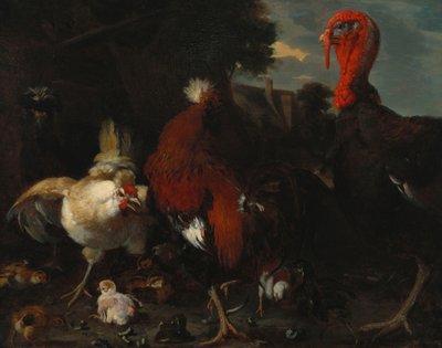 Een Hen, Haan en Kalkoen in een Boerenhof door Melchior de Hondecoeter