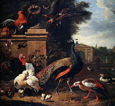 Een pauw, een havik en verschillende hoenders en eenden in een park door Melchior de Hondecoeter