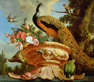 Een pauw op een decoratieve urn door Melchior de Hondecoeter