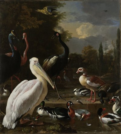 Een Pelikaan en andere Vogels bij een Poel, bekend als 