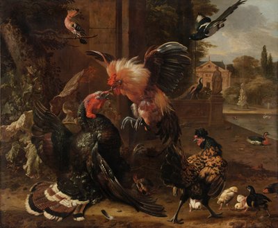 Een Haan en Kalkoen die Vechten, ca. 1680 door Melchior de Hondecoeter