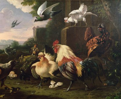 Een haan en ander gevogelte in een landschap door Melchior de Hondecoeter