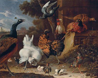 Een haan, kippen, kuikens, een patrijs, fazanten, een pauw en een duif bij een muur in het park van een landhuis door Melchior de Hondecoeter