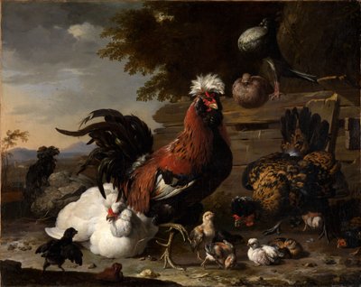 De vrede op het kippenhof door Melchior de Hondecoeter