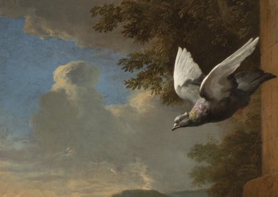 Detail van Menagerie, ca. 1680 (olie op doek) door Melchior de Hondecoeter