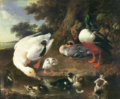 Boerderijeenden door Melchior de Hondecoeter