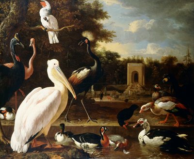 Veel verschillende soorten vogels bij een vijver in een park door Melchior de Hondecoeter
