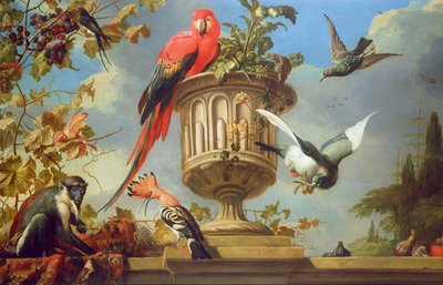 Rode ara zittend op een urn, met andere vogels en een aap die druiven eet door Melchior de Hondecoeter