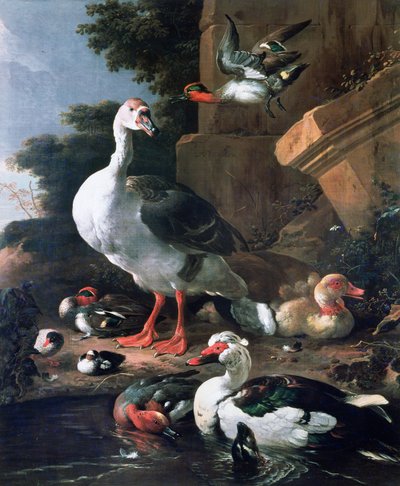 Watervogels in een klassiek landschap, 17e eeuw door Melchior de Hondecoeter