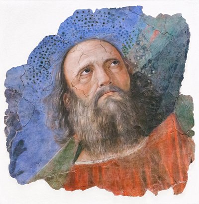 Hoofd van een apostel, rond 1480 door Melozzo da Forli
