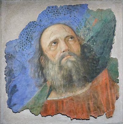 Hoofd van een apostel, ca. 1480 door Melozzo da Forli