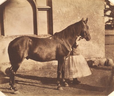 Sultan, midden 1850s door Mervyn Herbert Nevil Story Maskelyne