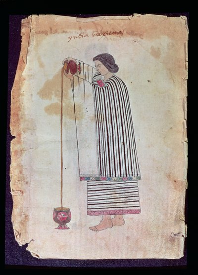 Mexicaanse Indiaan die chocolade bereidt, uit de Codex Tuleda, 1553 door Mexican School