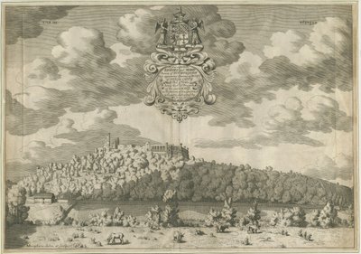 Dudley Kasteel door Michael Burghers