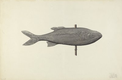Vis Weerhaan, 1939 door Michael Riccitelli