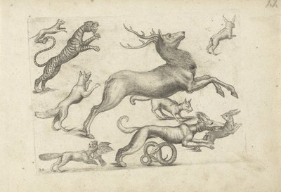 Studieblad met tekenvoorbeelden: diverse dieren door Michael Snijders (attributed to)