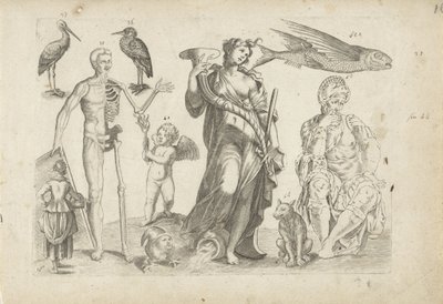 Studieblad met tekenvoorbeelden: dieren en diverse figuren door Michael Snijders