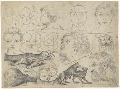 Studieblad met tekenvoorbeelden: figuren, dieren door Michael Snijders