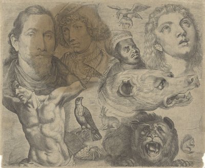 Studieblad met tekenvoorbeelden: koppen, torso en dieren door Michael Snijders