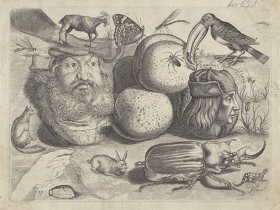 Studieblad met tekenvoorbeelden: portretten, dieren, insecten door Michael Snijders