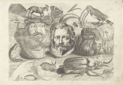 Studieblad met tekenvoorbeelden: portretten, dieren, insecten door Michael Snijders