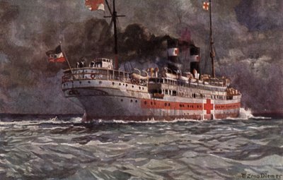 Duits hospitaalschip, Eerste Wereldoorlog door Michael Zeno Diemer