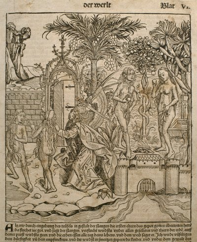 Adam en Eva, illustratie uit de 