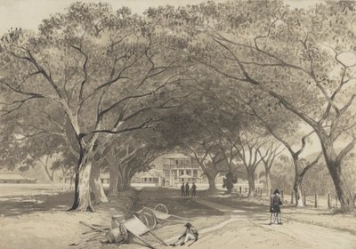 Avenue en Ingang naar St. James Kazerne door Michel Jean Cazabon
