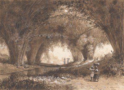 Bamboe Bogen, St. Anns door Michel Jean Cazabon