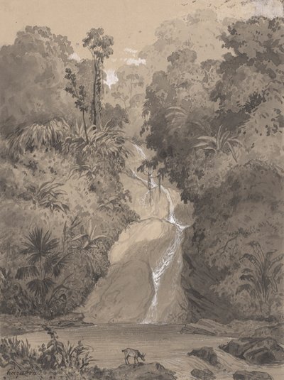 Waterval bij St. Anns door Michel Jean Cazabon