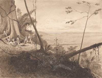 Cedar Point, Mount Tamana door Michel Jean Cazabon