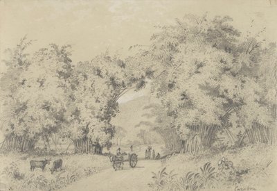 Weg naar St. Ann