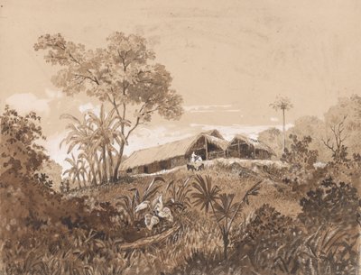 De Cottage, Mount Tamana door Michel Jean Cazabon