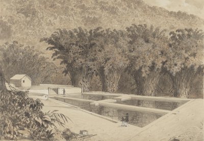 Het reservoir bij Maraval door Michel Jean Cazabon
