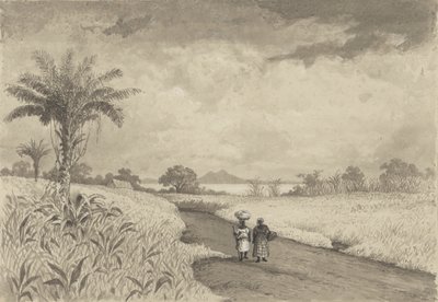 De Weg naar het Pekmeer door Michel Jean Cazabon