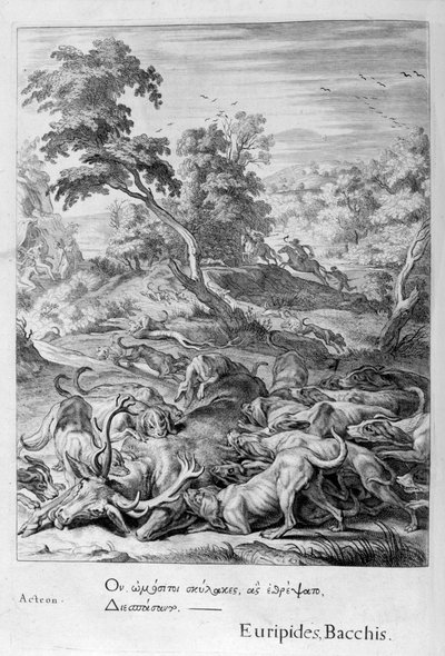 Actaeon veranderd in een hert en verslonden door zijn honden, 1655 door Michel de Marolles
