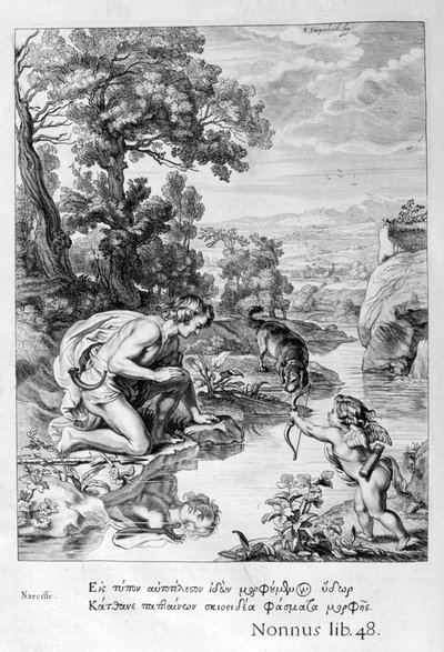 Narcissus verliefd op zijn eigen reflectie, 1655 door Michel de Marolles
