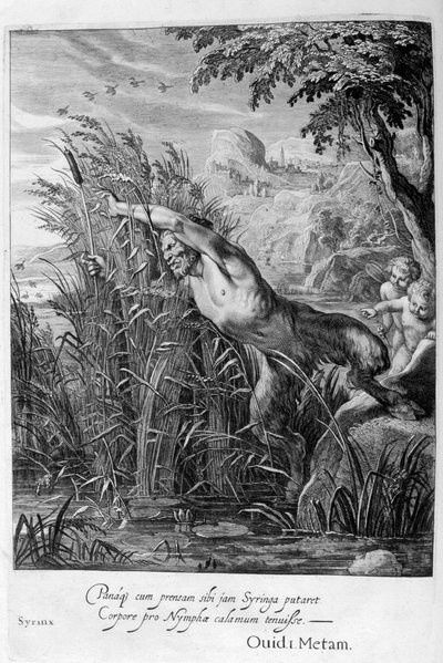 Pan achtervolgt Syrinx die in een riet verandert, 1665 door Michel de Marolles