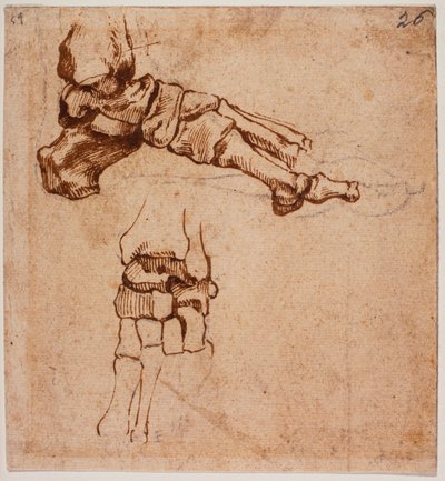 Anatomische voetstudie door Michelangelo (after) Buonarroti