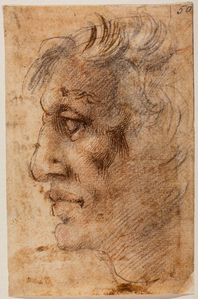 Mannelijk hoofd in profiel door Michelangelo (after) Buonarroti