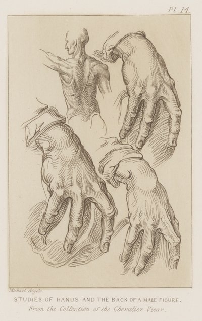 Studies van handen en de rug van een mannelijk figuur door Michelangelo (after) Buonarroti