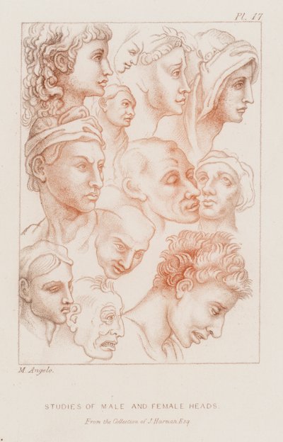 Studies van mannelijke en vrouwelijke hoofden (ets) door Michelangelo (after) Buonarroti