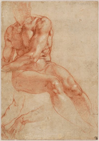 Zittend jong mannelijk naakt en twee armstudies (recto), ca. 1510-11 door Michelangelo